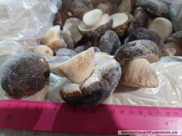 Замороженные грибы