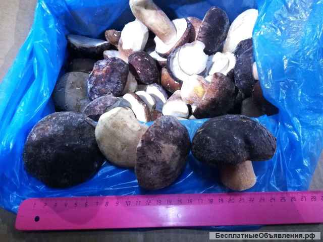 Замороженные грибы