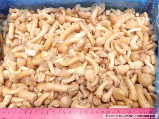 Замороженные грибы