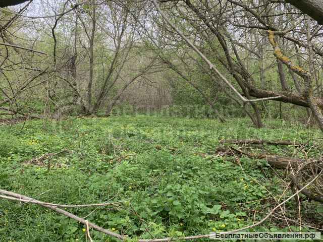 Земельный участок 10сот. В деревне. ижс
