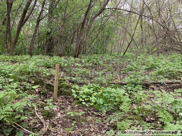 Земельный участок 10сот. В деревне. ижс