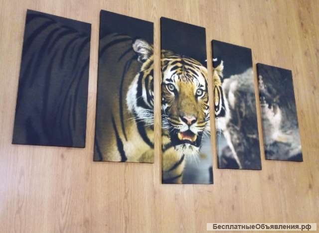 Модульная картина Тигр