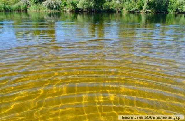 Под застройку 20 соток на берегу реки Орель(свой берег)