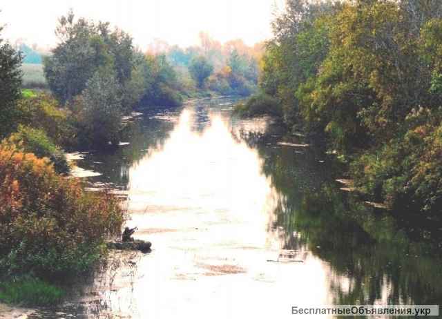 Под застройку 20 соток на берегу реки Орель(свой берег)