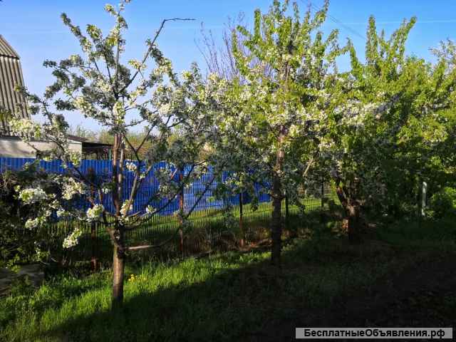 Дачный домик с участком