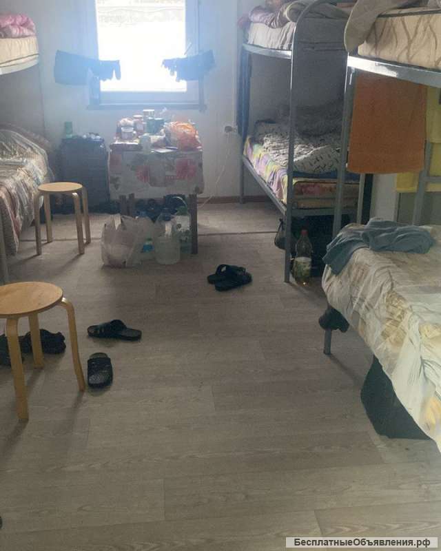 Требуются разнорабочие