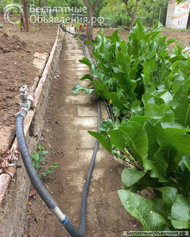 Дачу в СНТ Залив