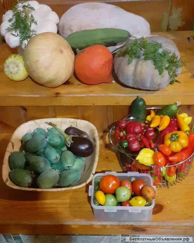 Недорого садовые, комнатные растения, цветы, саженцы