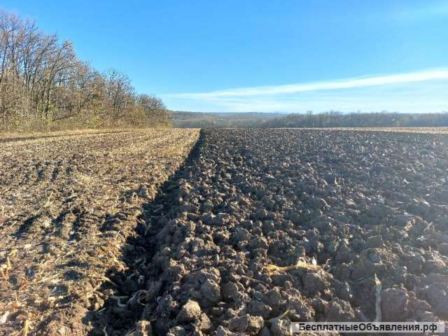 Хозяйство по выращиванию зерновых культур