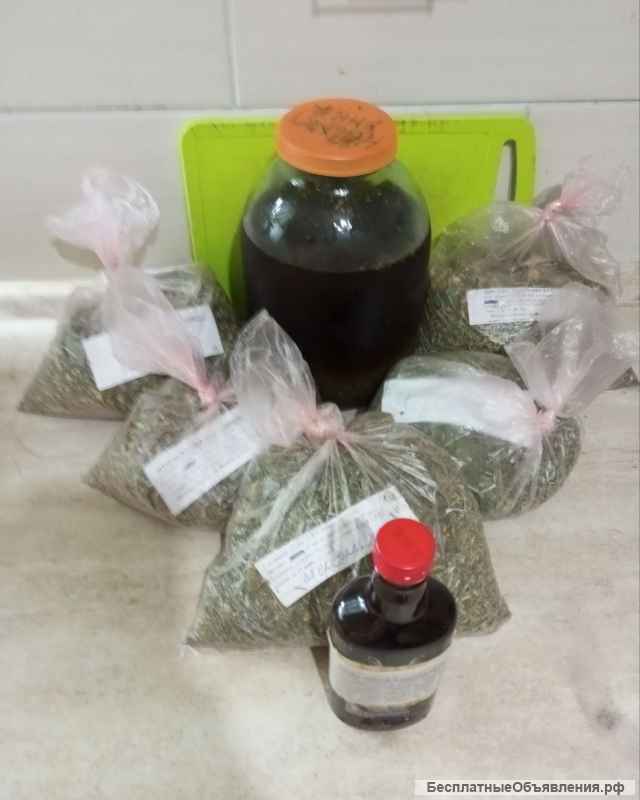 Лечебные травы и травяные сборы