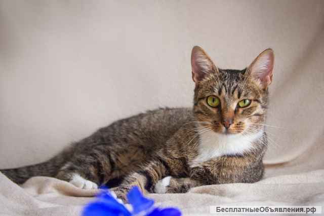 Мадемуазель Матильда ищет семью