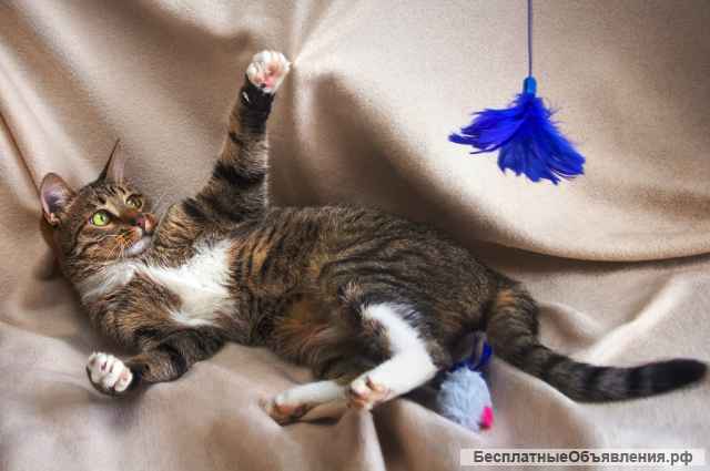 Мадемуазель Матильда ищет семью