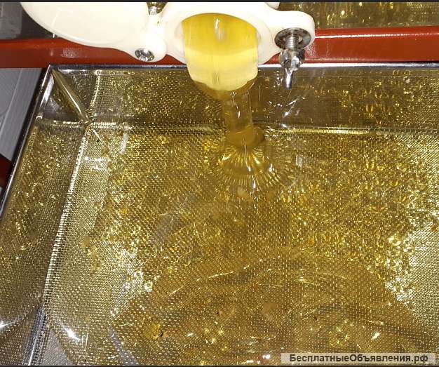 Мед 2024 года с личной пасеки