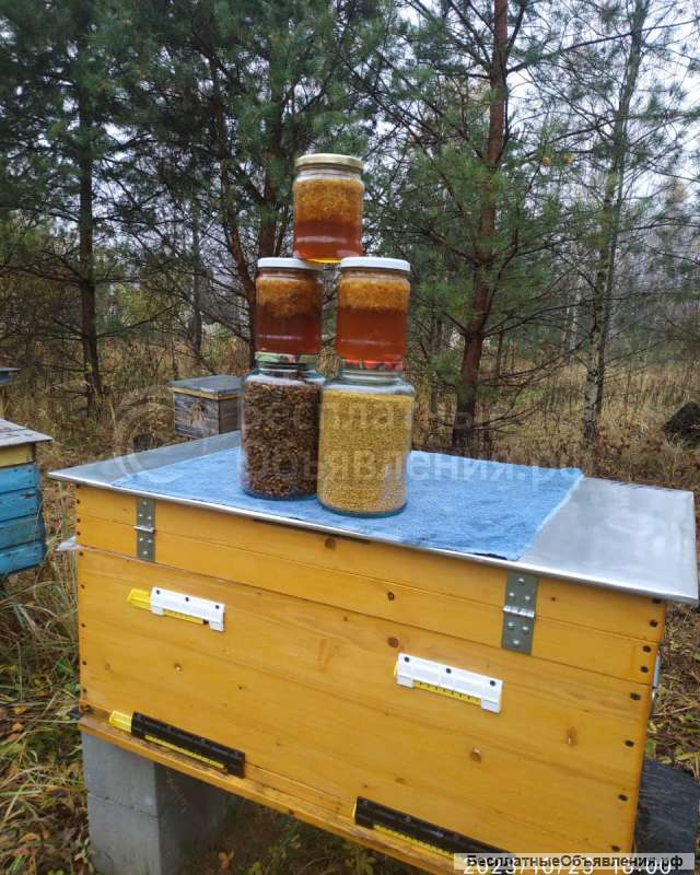 Пыльца, перга и другие продукты пчеловодства
