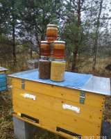 Пыльца, перга и другие продукты пчеловодства