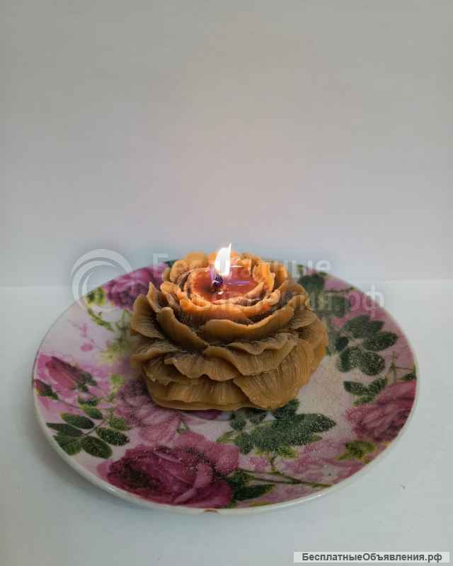 Пыльца, перга и другие продукты пчеловодства