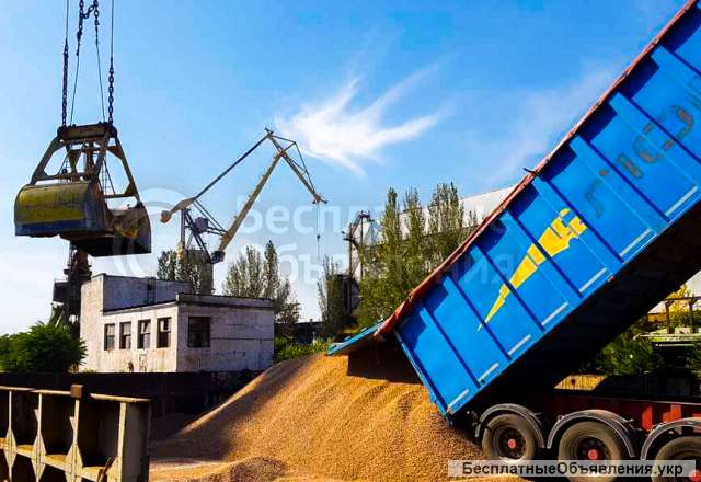 Торгова компанія КОММОДІТІС на постійній основі закуповує оптовими партіями