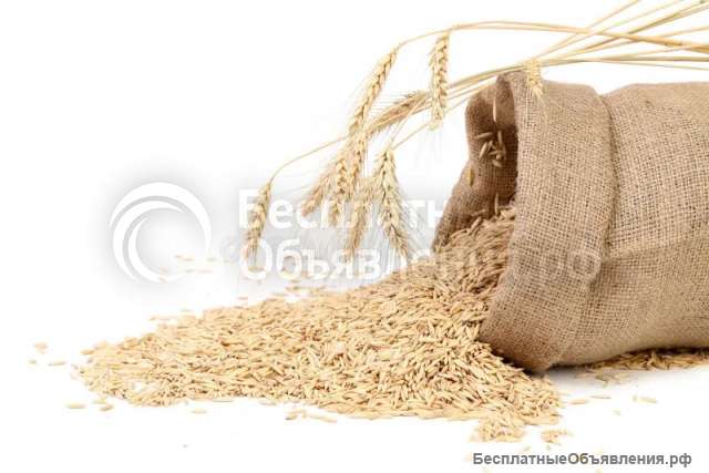 Разнорабочий