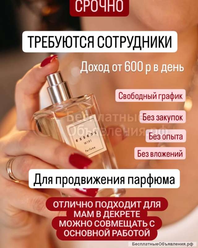 Работа твоей мечты