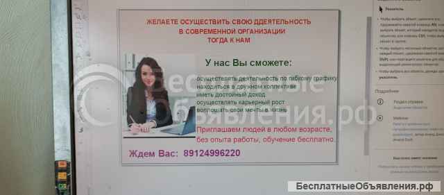 Диагностика организма