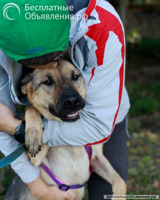 Мила самая милая и добрая собака ищет дом