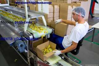 Упаковщик конфет, от 15 смен, вахта, Москва