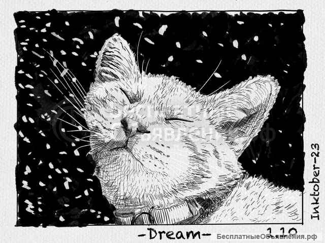 Он-лайн обучение рисованию 2D Photoshop/ Procreate