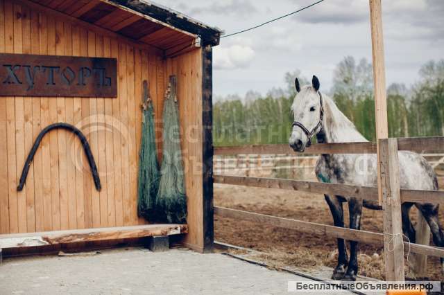 Дача по ТОбольскому тракту
