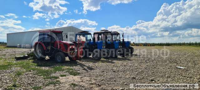 Яблоневые сады