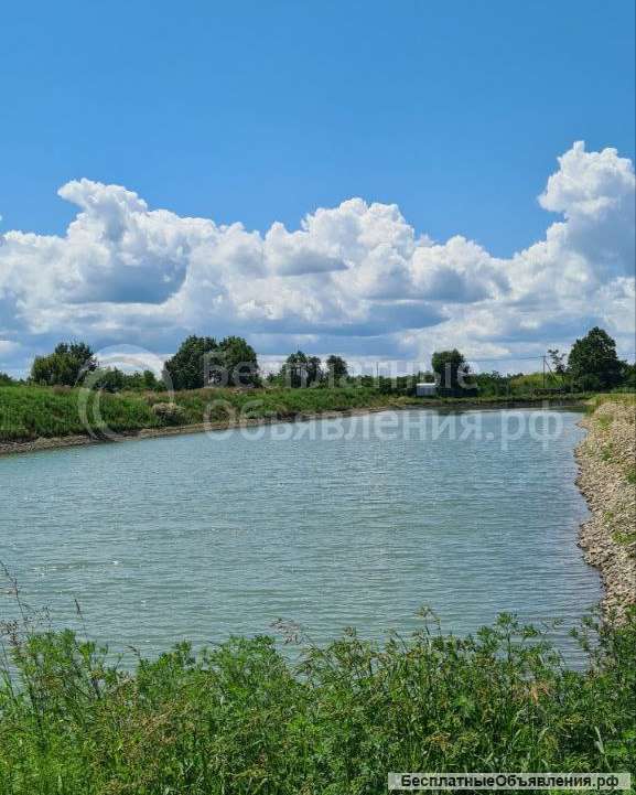 Яблоневый сад 120 Га