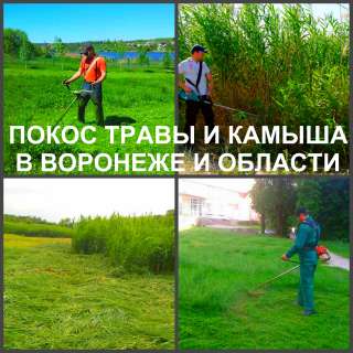 Покос травы Воронеж, косить траву в Воронеже