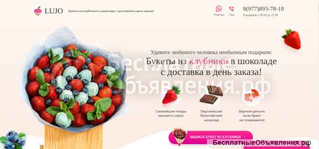 Разработка и продвижение сайтов, дизайн, боты телеграм