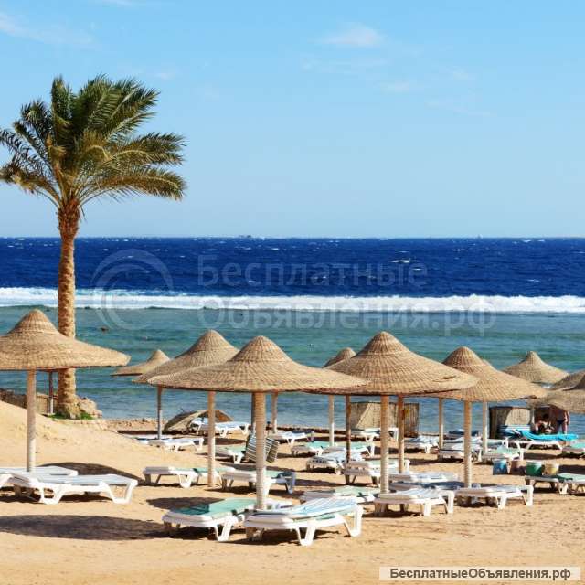 Туры в незабываемый Египет