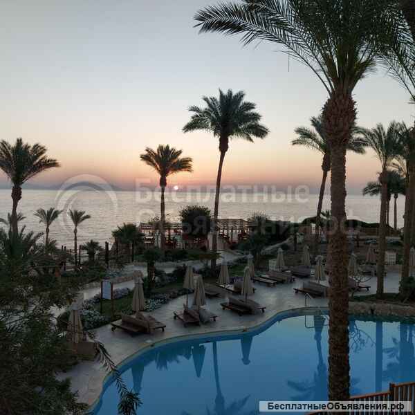 Туры в незабываемый Египет