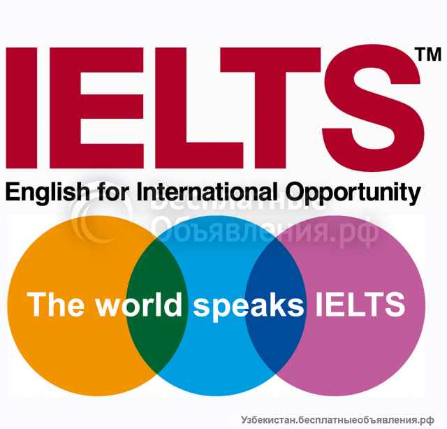 Любимые учебные курсы