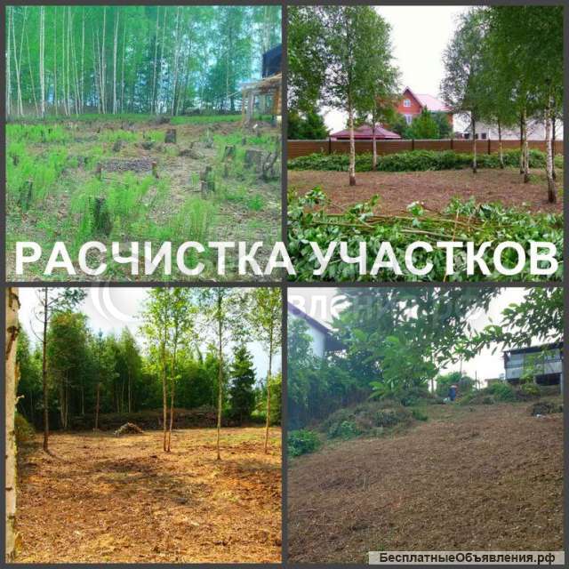 Расчистка участков, спил деревьев, вывоз мусора