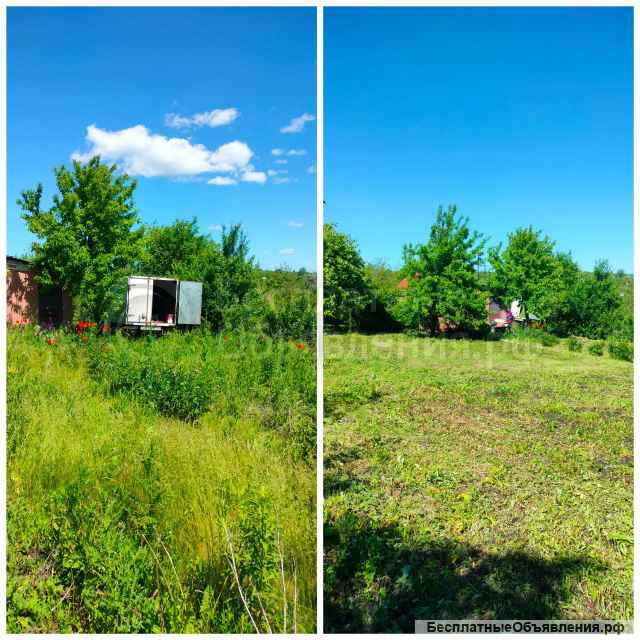 Расчистка участков, спил деревьев, вывоз мусора