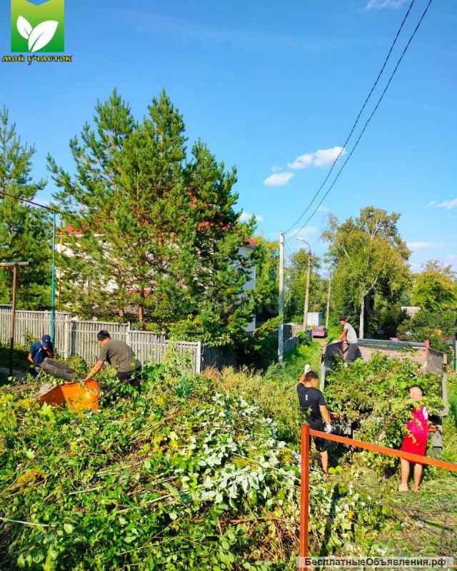 Расчистка участков, спил деревьев, вывоз мусора