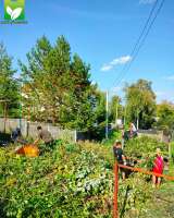 Расчистка участков, спил деревьев, вывоз мусора