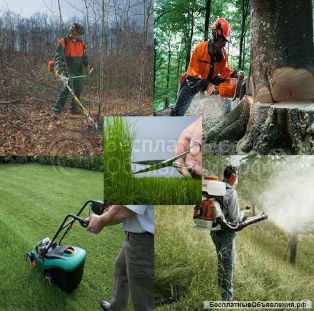 Расчистка участков, спил деревьев, вывоз мусора