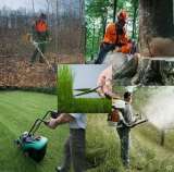 Расчистка участков, спил деревьев, вывоз мусора