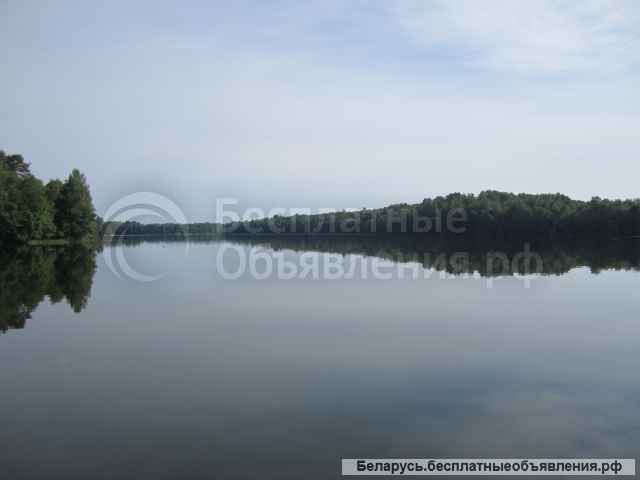 Усадьба для отдыха