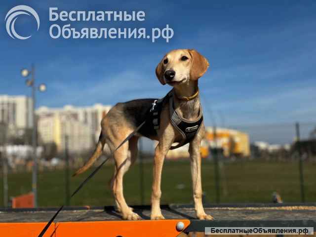 Южная очаровашка Джуна ищет дом