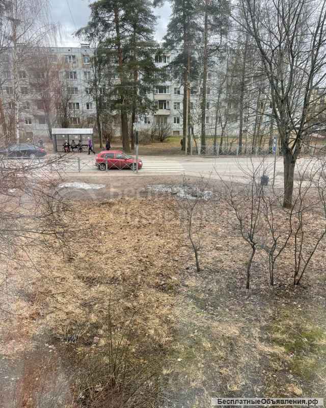 1-комн. кв. 36 кв. м, Сайменское ш, 2/5 эт. (137 серия)