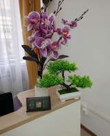 Студия массажа