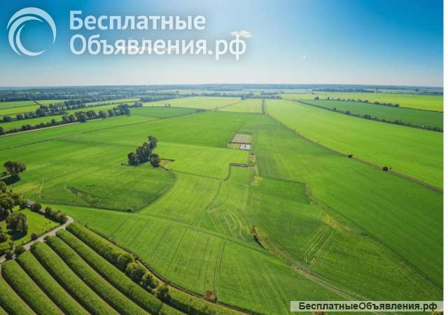 Земельного участка 11.9 ГА (пашня) в Ставропольском крае, Новоселицком районе, п. Щелкан