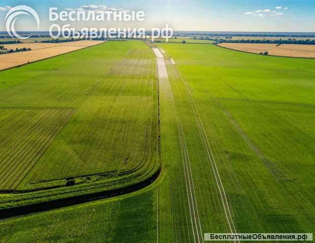 Земельный участок сельхозназначения в Ставропольском крае