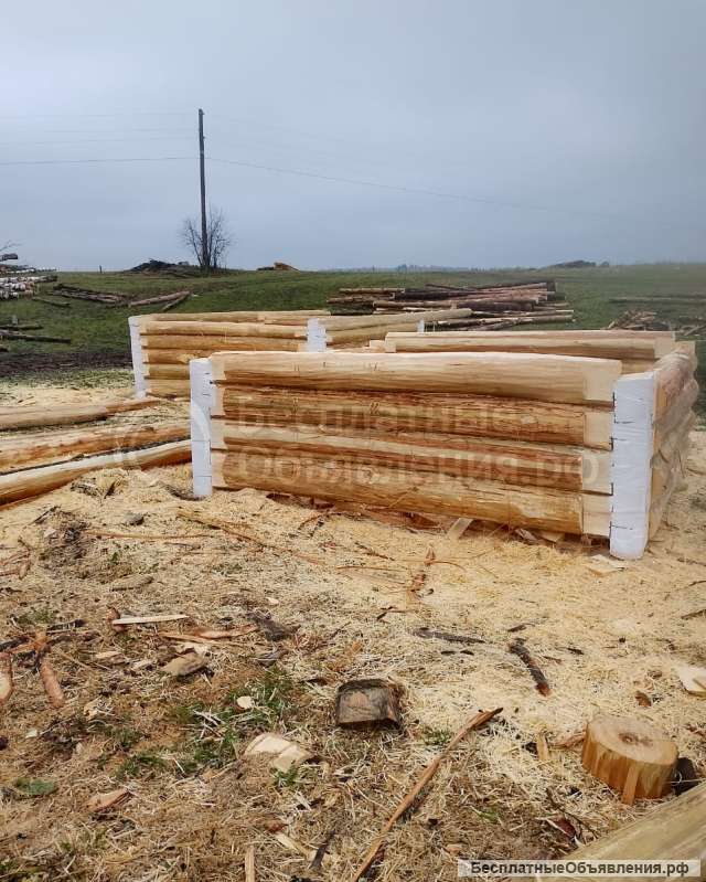 Срубы из липы 3х3 3х4 3х5 3х6 4х5 4х6 5х5 для бани