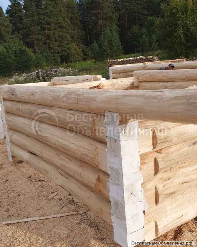 Срубы из липы 3х3 3х4 3х5 3х6 4х5 4х6 5х5 для бани