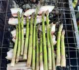 Спаржа Аржентельская